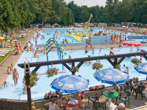 Camping Wilhelm Tell - Camping Limburg Belge - Image N°7
