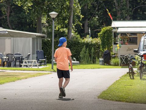 Camping Wilhelm Tell - Camping Limburg Belge - Image N°43