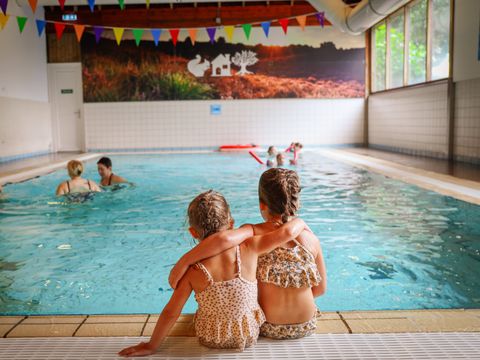 Vakantiepark Sallandshoeve - Camping Raalte - Image N°5