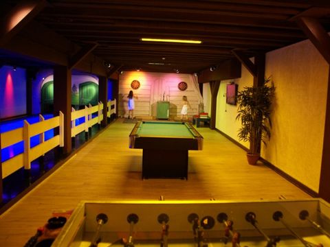 Vakantiepark Sallandshoeve - Camping Raalte - Image N°26