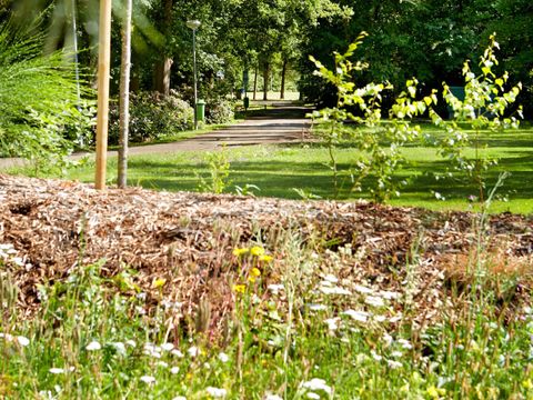 Vakantiepark Sallandshoeve - Camping Raalte - Image N°28