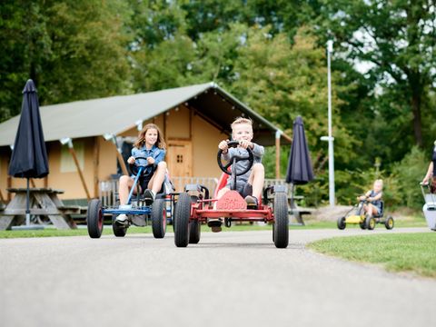 Vakantiepark Sallandshoeve - Camping Raalte - Image N°12