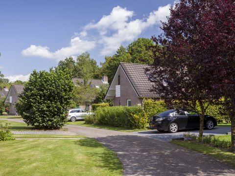Vakantiepark Sallandshoeve - Camping Raalte - Image N°22