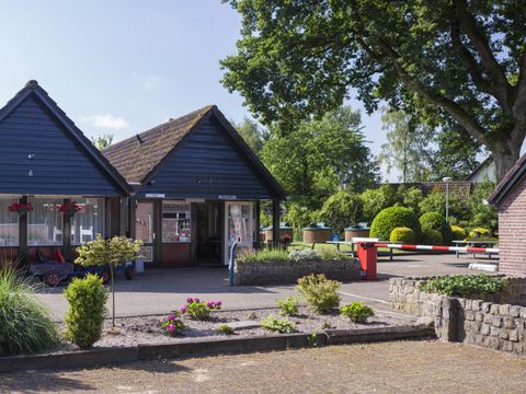 Vakantiepark Sallandshoeve - Camping Raalte - Image N°24