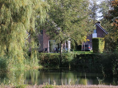 Vakantiepark Sallandshoeve - Camping Raalte - Image N°31