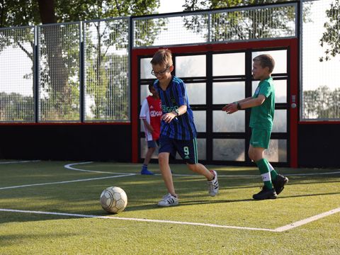 Vakantiepark Sallandshoeve - Camping Raalte - Image N°21