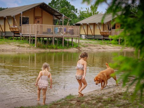 Vakantiepark Sallandshoeve - Camping Raalte - Image N°3
