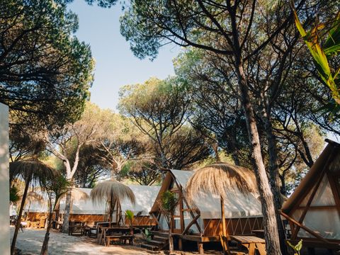 TENTE TOILE ET BOIS 4 personnes - Glamping Tipi Retama