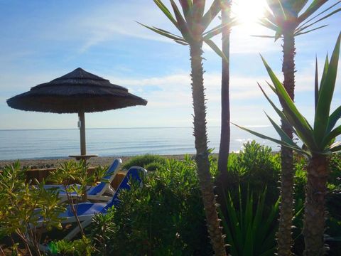 Residence Sognu Di Rena - Camping Corse du Nord - Image N°24
