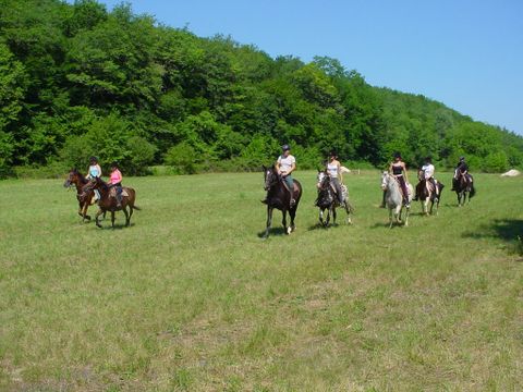 Camping Le Pech Charmant - Dordogne - Camping Dordogne - Image N°2