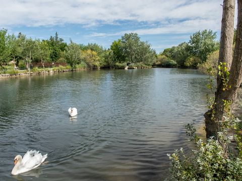 Résidence Sun Hols Les Rives du Lac - Camping Vaucluse - Image N°12