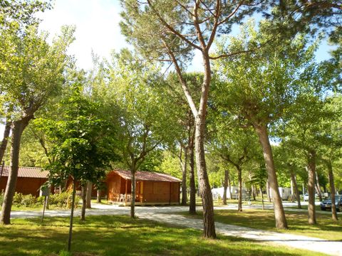 CHALET 4 personnes - Standard