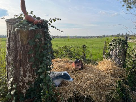 Camping La Saline - Camping Doubs - Image N°51