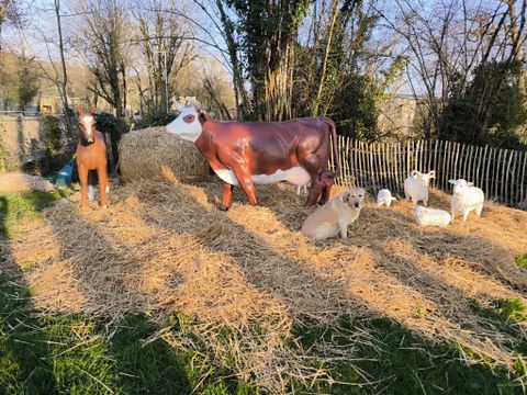 Camping La Saline - Camping Doubs - Image N°49