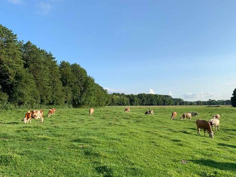 Camping La Saline - Camping Doubs - Image N°6