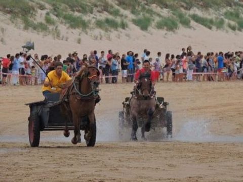 Camping Derby Loredo - Camping Cantabria - Image N°11