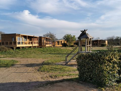 Le Village de Cottages Pôle du Cheval et de l'Ane - Camping Cher - Image N°16