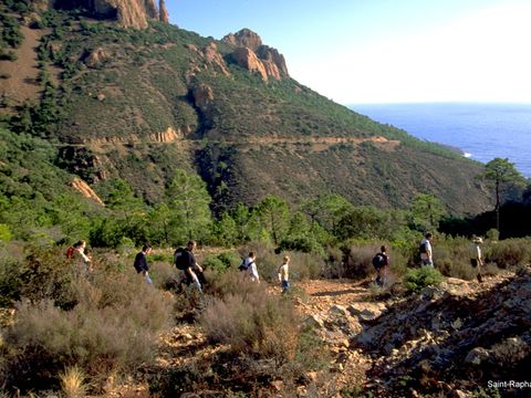 SOWELL - Résidence Les Chênes Verts - Camping Var - Image N°23