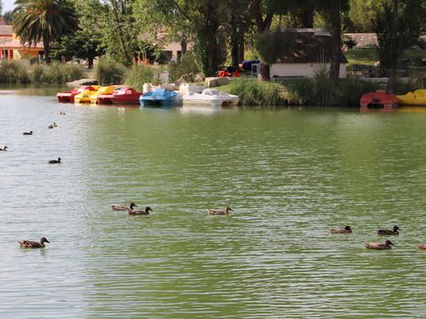 SOWELL - Résidence Les Mazets  - Camping Bouches-du-Rhône - Image N°23