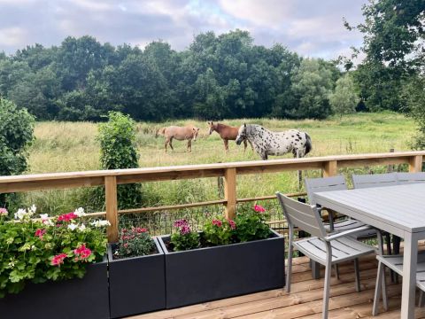 Camping Ecolodges Domaine de la Forêt - by Ocean Mobilhomes - Camping Charente-Maritime - Image N°37