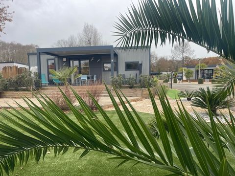 BUNGALOW 4 personnes - Ecolodge Luxe  2 chambres clim (IMMOBILHOME) accès piscine inclus 