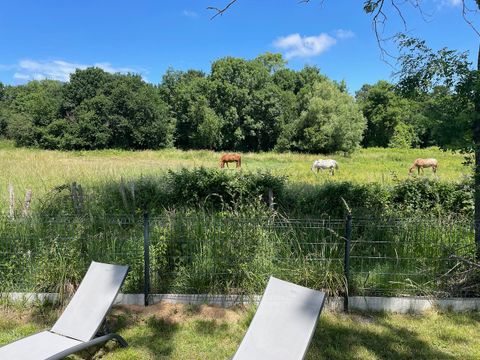 Mobilhome 4 personnes - ECOLODGE AU CALME - DF19 - 2 chambres - 2 salles de bain - WIFI - CLIM - PISCINE A L ANNEE