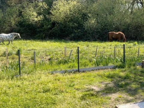 Camping Ecolodges Domaine de la Forêt - by Ocean Mobilhomes - Camping Charente-Maritime - Image N°14