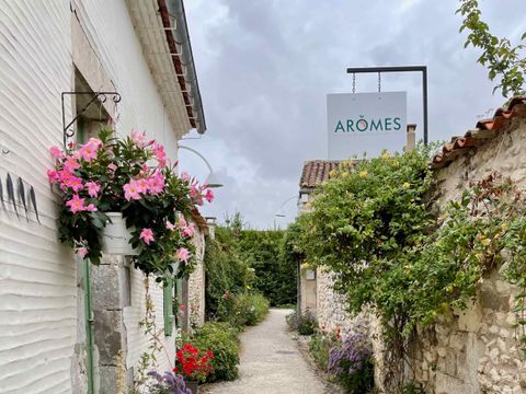 Camping Ecolodges Domaine de la Forêt - by Ocean Mobilhomes - Camping Charente-Maritime - Image N°3