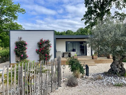 Camping Ecolodges Domaine de la Forêt - by Ocean Mobilhomes - Camping Charente-Maritime - Image N°25