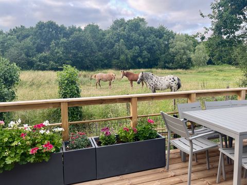 Camping Ecolodges Domaine de la Forêt - by Ocean Mobilhomes - Camping Charente-Maritime - Image N°24