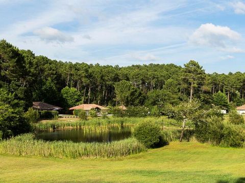  Villas La Clairière aux Chevreuils - Camping Landes - Image N°15