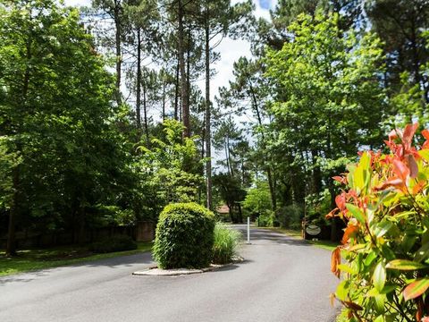  Villas La Clairière aux Chevreuils - Camping Landes - Image N°12