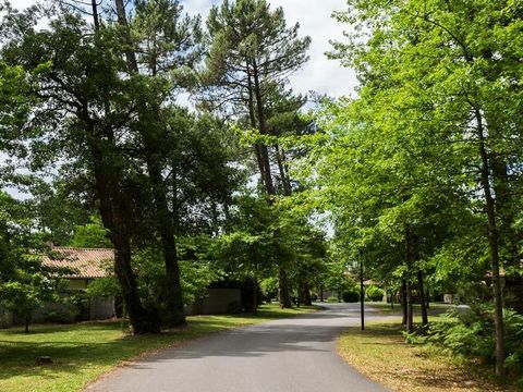  Villas La Clairière aux Chevreuils - Camping Landes - Image N°13