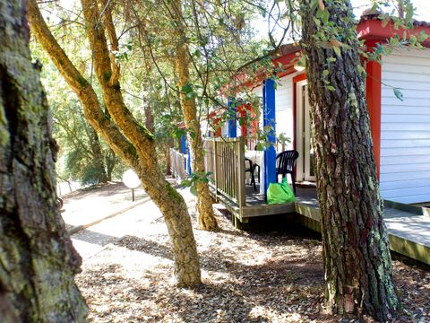 VVF Villages - Les plages des Landes - Moliets-et-Maa - Camping Landes - Image N°22