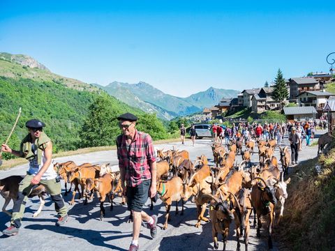 SOWELL - Résidence  Le Crêt Voland - Les Ménuires - Camping Savoie - Image N°23