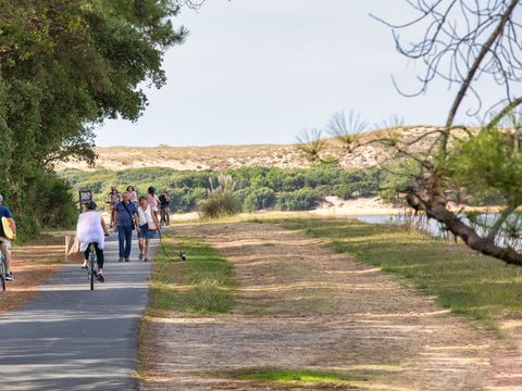 SOWELL - Family Résidence Pignada Plage - Camping Landes - Image N°28