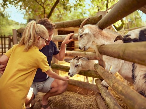 SOWELL - Family Le Vallon - Camping Ardèche - Image N°76