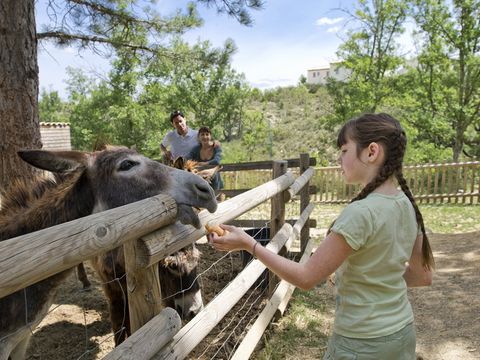 SOWELL - Family Le Vallon - Camping Ardèche - Image N°77
