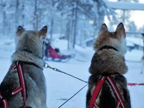 SOWELL Résidences Pra Loup - Camping Alpes-de-Haute-Provence - Image N°2