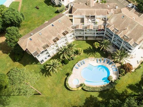 Résidence Les Palmiers du Golf - Camping Landes - Image N°6