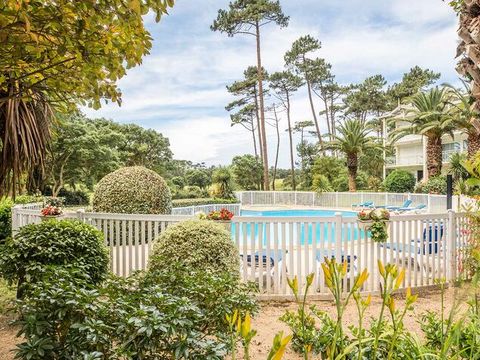 Résidence Les Palmiers du Golf - Camping Landes - Image N°4