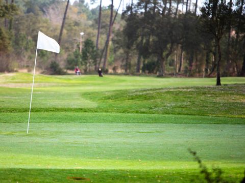 Résidence Les Palmiers du Golf - Camping Landes - Image N°12