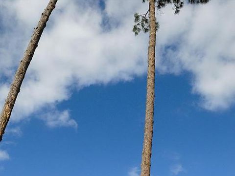 Résidence du Golf - Camping Landes - Image N°17