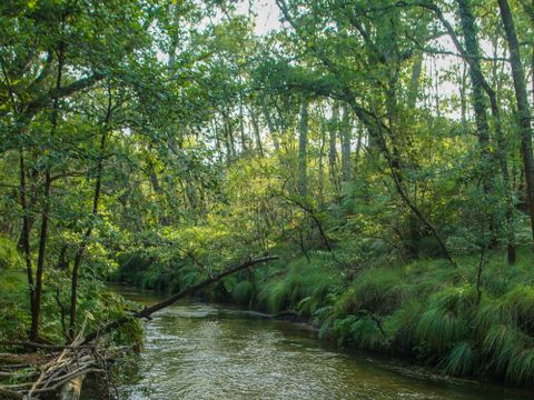 Résidence du Golf - Camping Landes - Image N°20