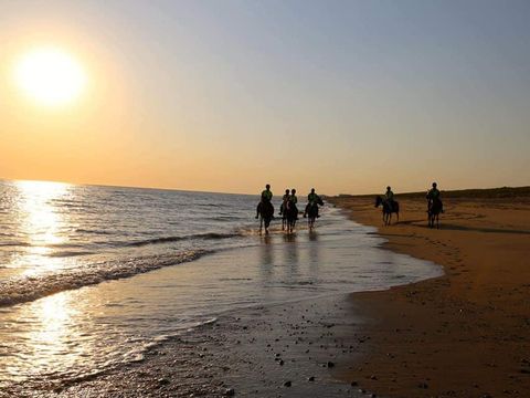 Résidence Les Mas de Saint Hilaire  - Camping Vendée - Image N°12