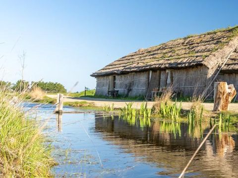 Le Domaine de Vertmarines - Camping Vendée - Image N°19