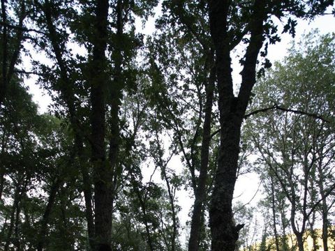 Camping Valle Do Seo - Camping León - Image N°11