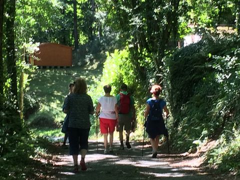 Résidence La Marquisié  - Camping Tarn - Image N°22