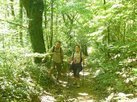 Résidence La Marquisié  - Camping Tarn - Image N°23