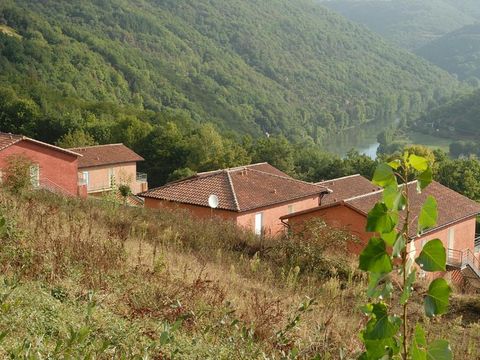 Résidence La Marquisié  - Camping Tarn - Image N°21